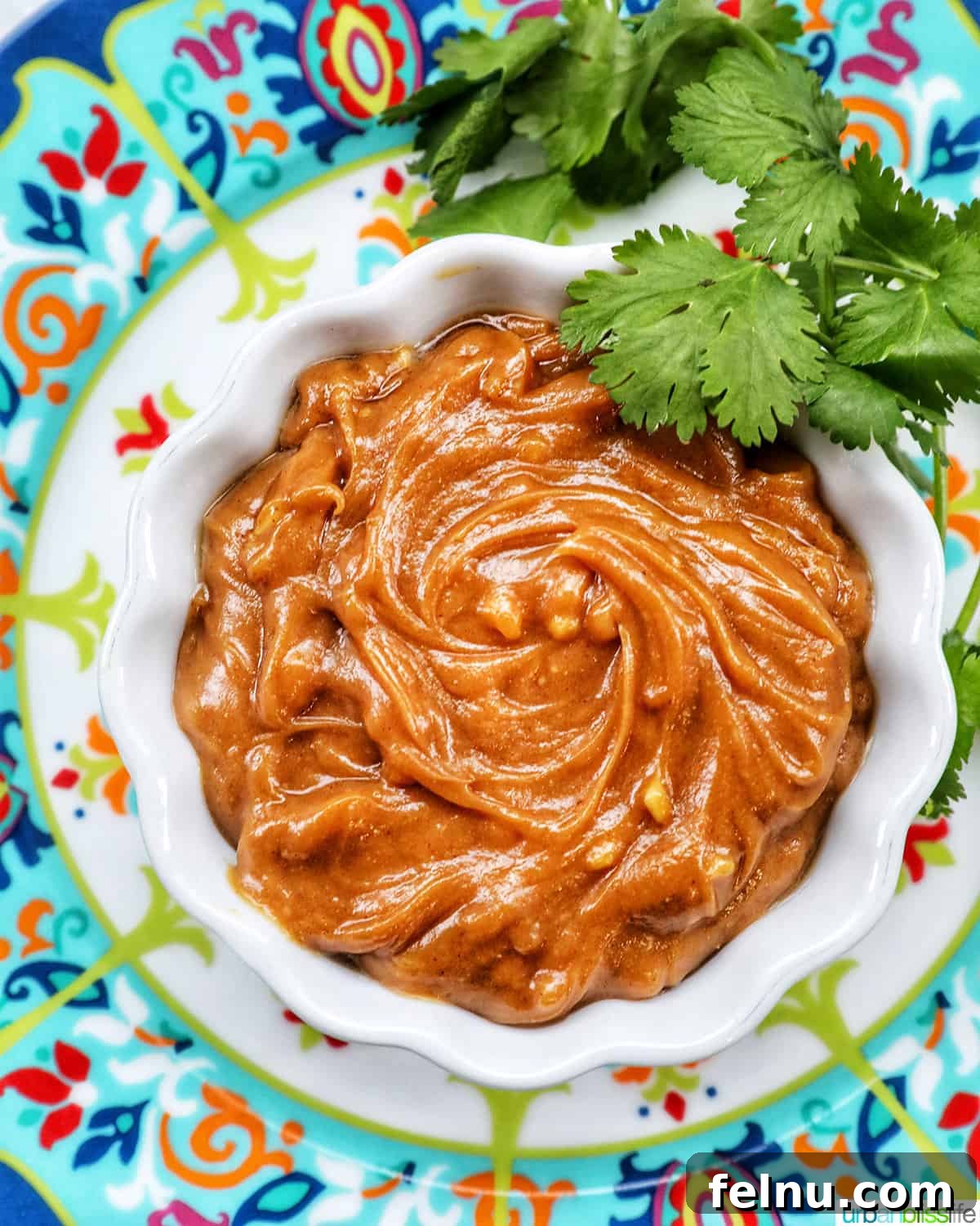 Effortless Homemade Thai Peanut Sauce 2 Thai peanut sauce in a white bowl with fresh cilantro leaves on a colorful patterned plate.