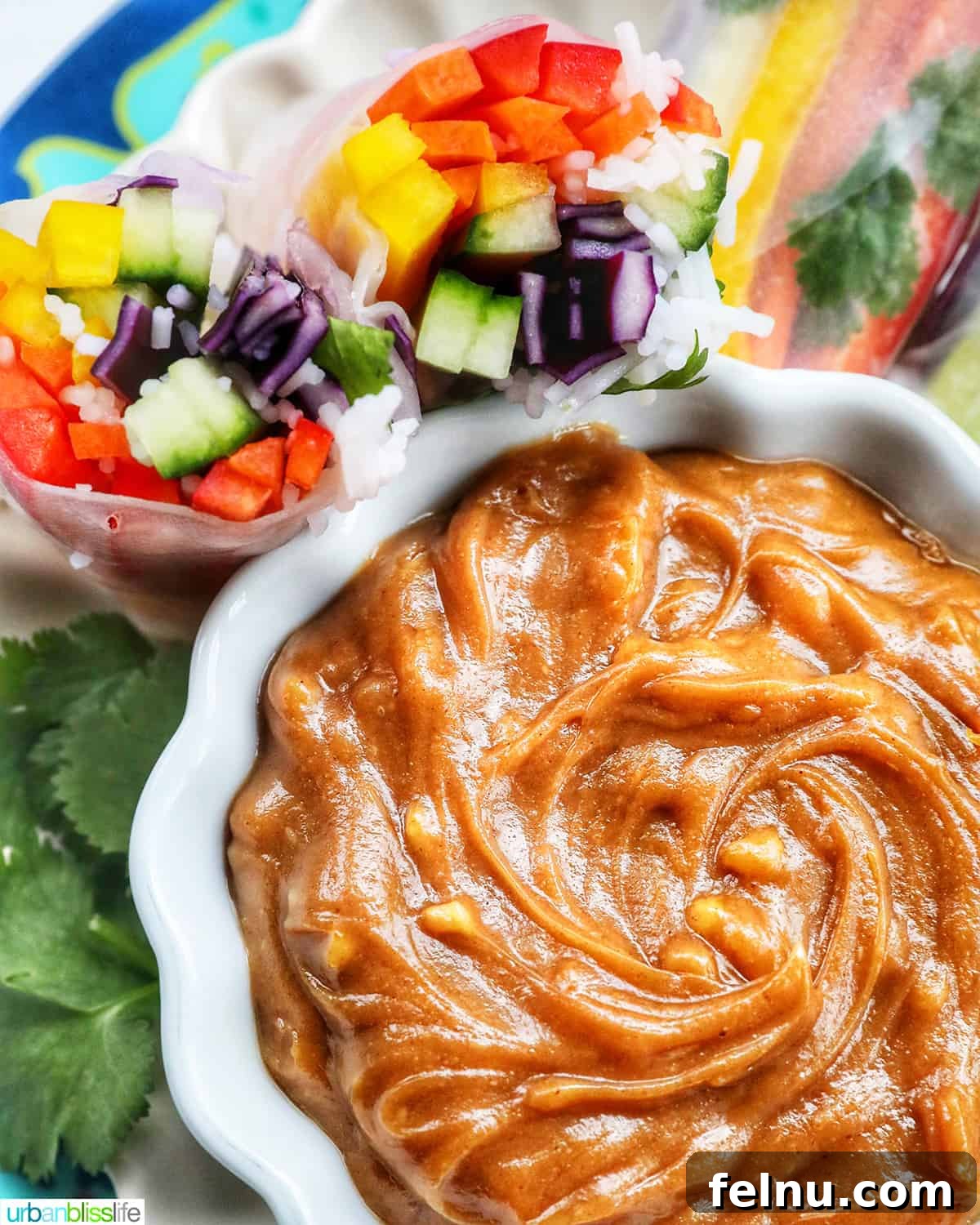 Effortless Homemade Thai Peanut Sauce 7 Thai peanut sauce in a white bowl with two rainbow spring rolls.
