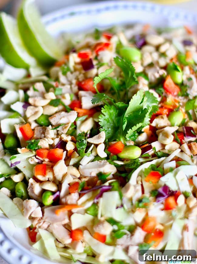 Thai Chicken Salad with Peanut Dressing 3 Close-up view of a colorful Thai Chicken Salad, showcasing shredded chicken, vibrant vegetables, and a rich peanut dressing.