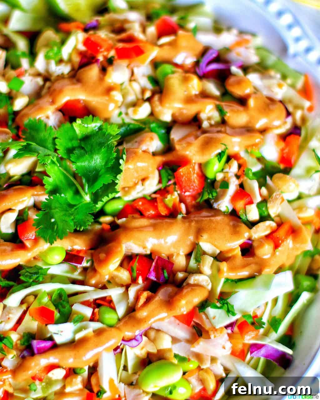 Thai Chicken Salad with Peanut Dressing 4 A closer look at the fresh ingredients in a Thai chicken salad, highlighting the vibrant colors and textures of the vegetables.