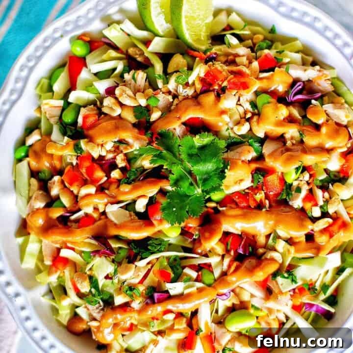big bowl of Thai chicken salad with lime slices