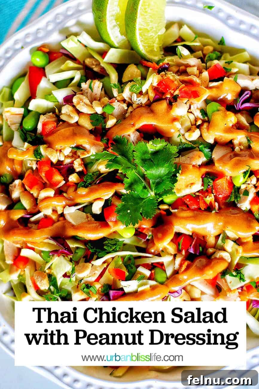 Thai Chicken Salad with Peanut Dressing 6 Large Pinterest-friendly image of the Thai Chicken Salad with the recipe title superimposed.