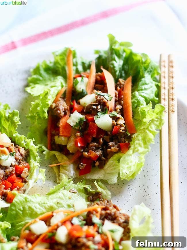 Teriyaki Mushroom Sausage Low Carb Lettuce Wraps Umami Mushroom Sausage Lettuce Bites 4 Overhead View of Delicious Low Carb Lettuce Wraps