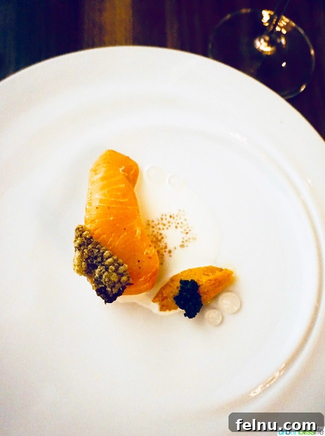 Salmon Dish at Roe Restaurant (CLOSED)