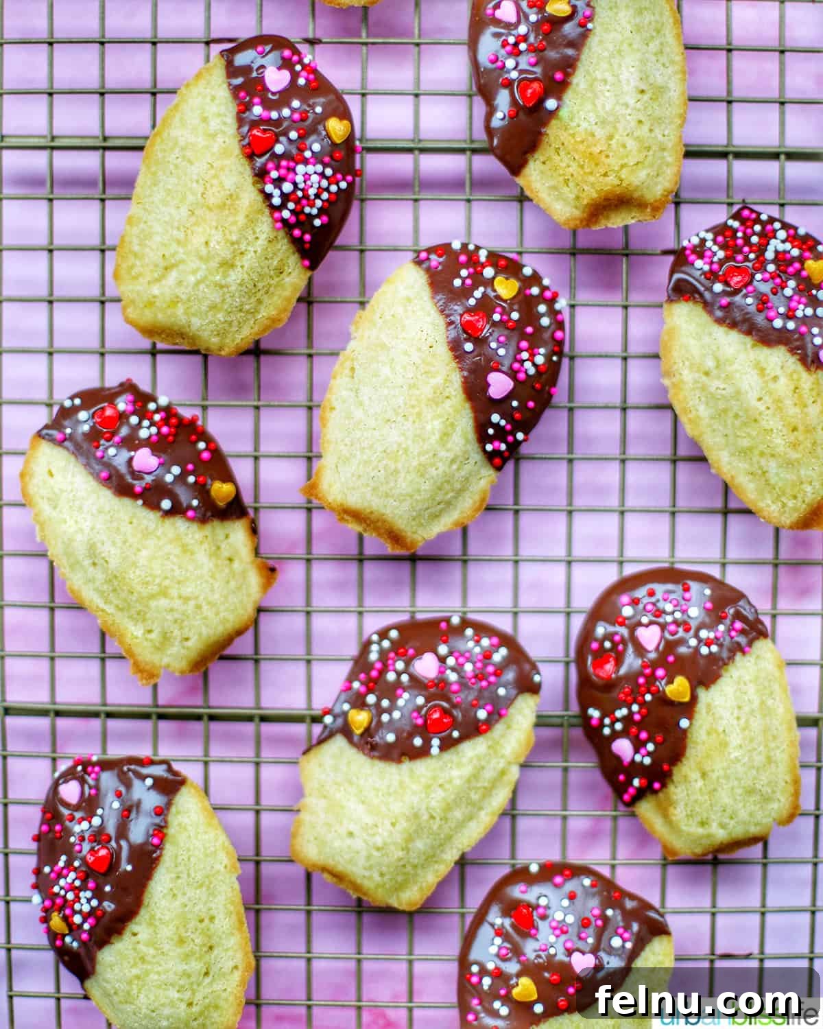 Chocolate-Dipped Madeleines
Decadent Chocolate Madeleines 2 Chocolate dipped madeleines on a baking rack