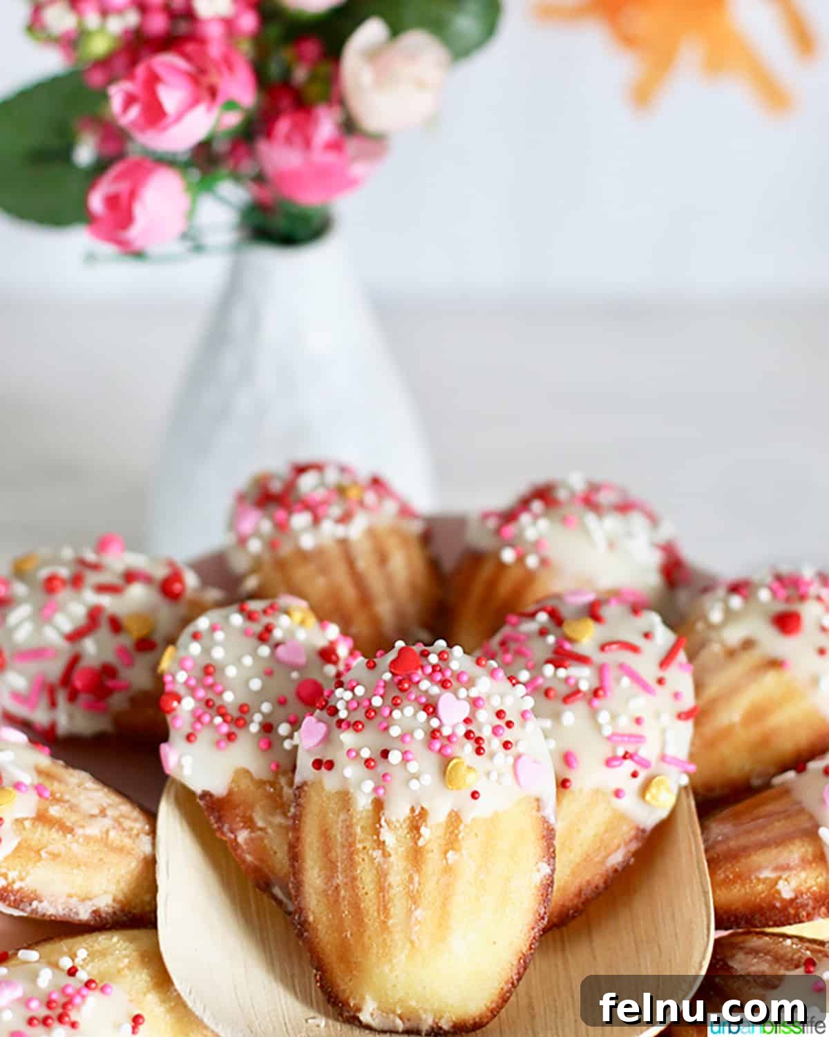 Chocolate-Dipped Madeleines
Decadent Chocolate Madeleines 11 White Chocolate Dipped Valentine Madeleine Cookies