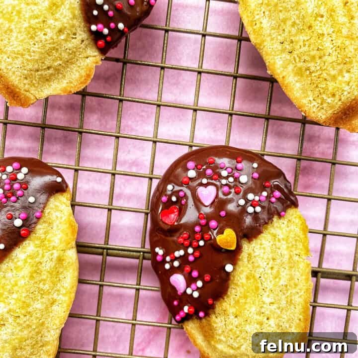 Chocolate-Dipped Madeleines
Decadent Chocolate Madeleines 12 Chocolate dipped madeleines on a cooling rack