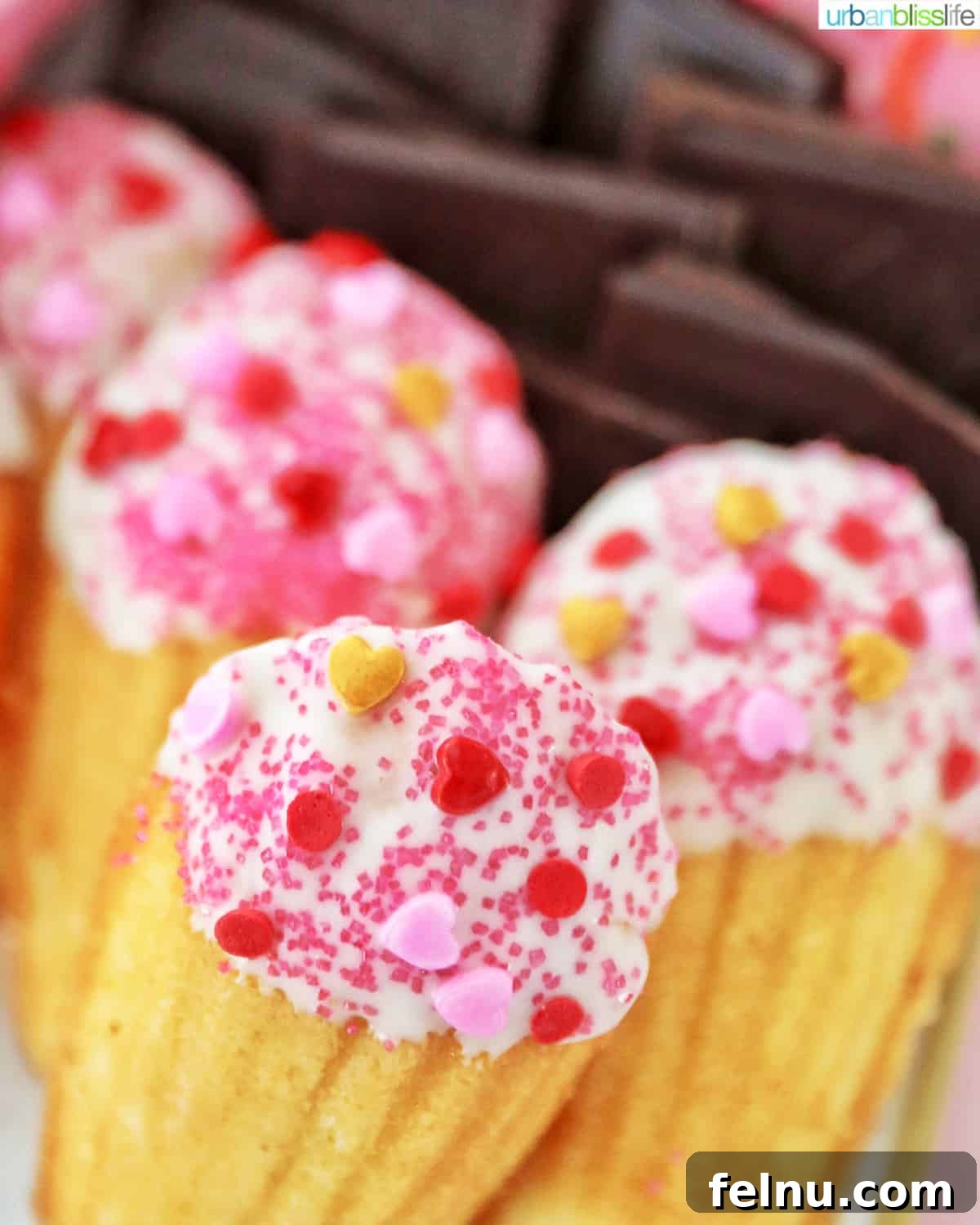 Chocolate-Dipped Madeleines
Decadent Chocolate Madeleines 4 Valentine's Day madeleines dipped in white chocolates