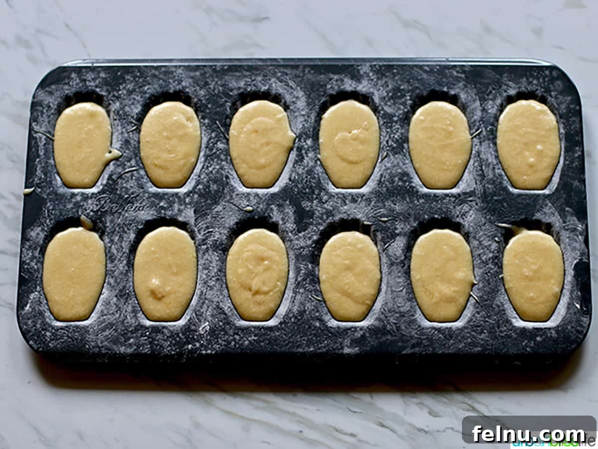 Chocolate-Dipped Madeleines
Decadent Chocolate Madeleines 8 Madeleine baking mold pan