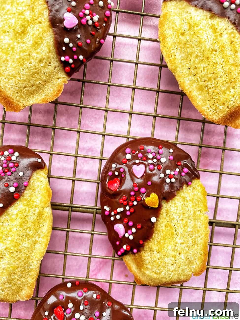 Chocolate-Dipped Madeleines
Decadent Chocolate Madeleines 10 Chocolate dipped madeleines on a cooling rack