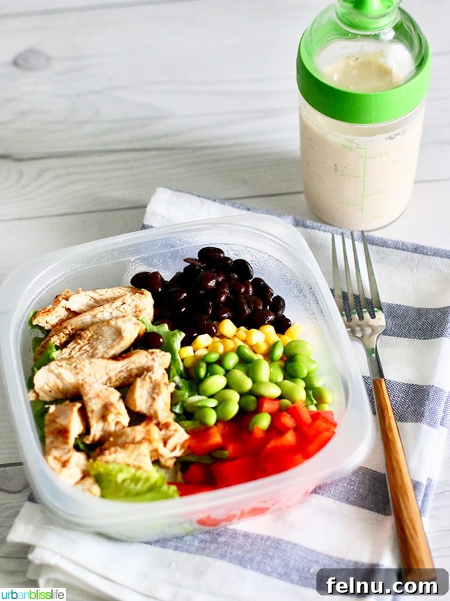 Creamy Southwest Dairy Free Ranch Chicken Salad 12 Southwest BBQ Chicken Salad
