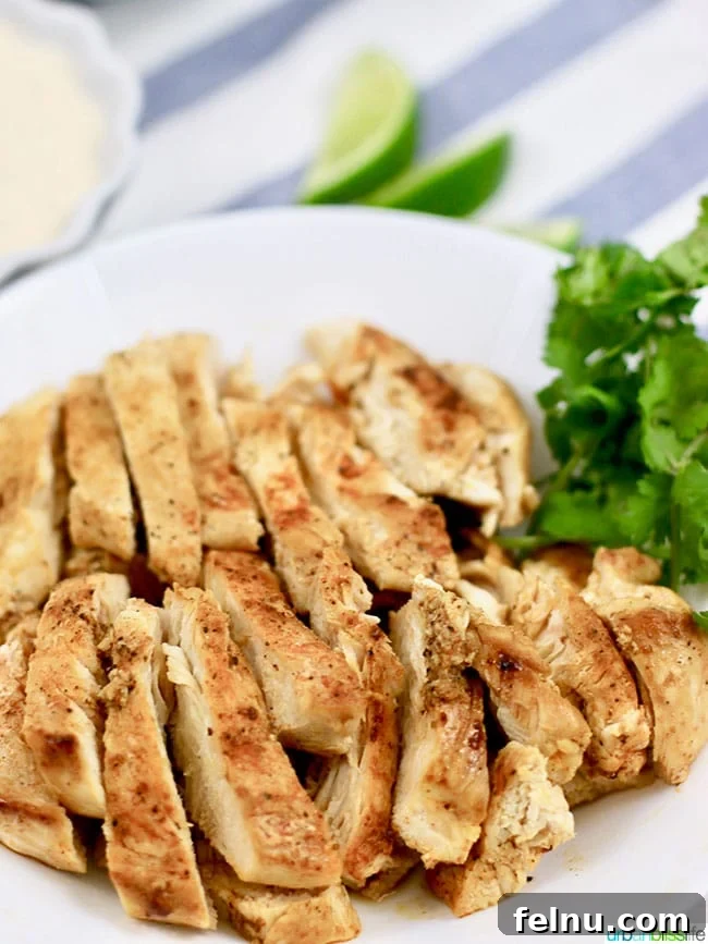 Creamy Southwest Dairy Free Ranch Chicken Salad 3 sliced chicken on plate