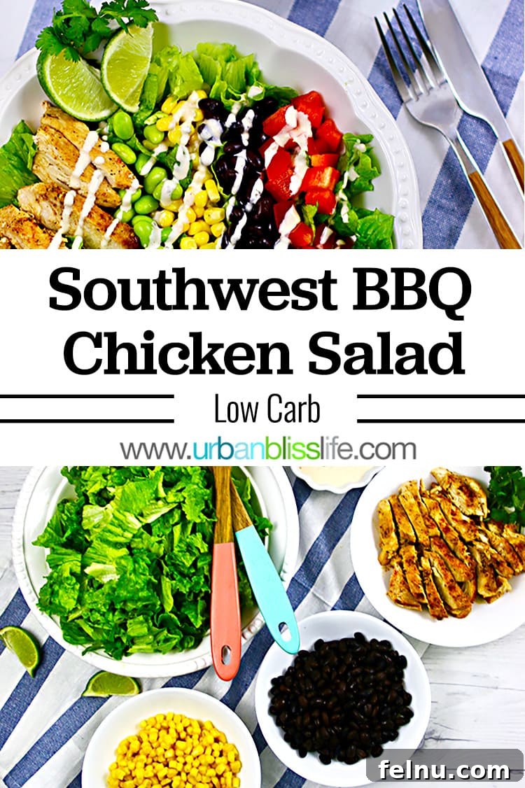 Creamy Southwest Dairy Free Ranch Chicken Salad 17 Southwest BBQ Chicken Salad