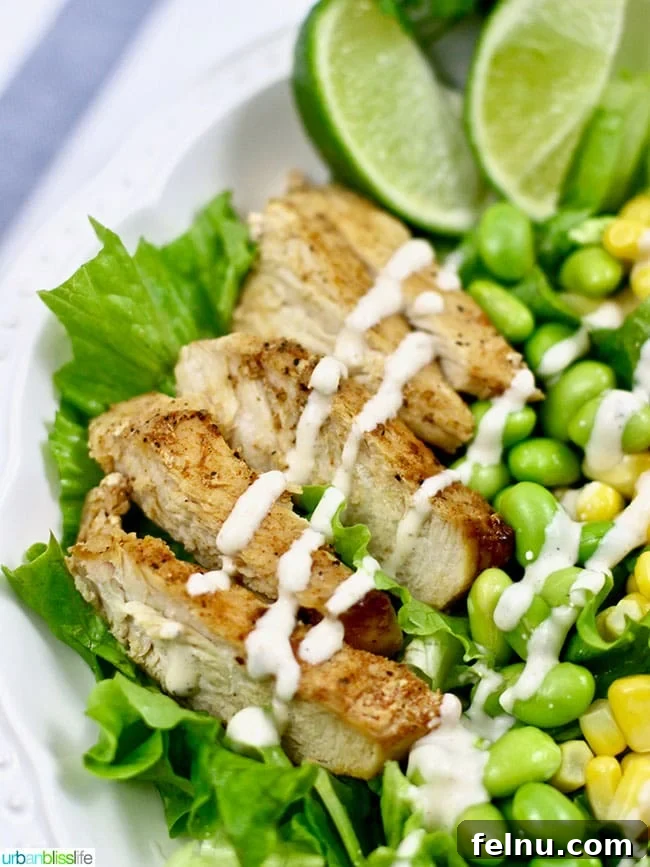 Creamy Southwest Dairy Free Ranch Chicken Salad 6 Dairy free chicken salad with ranch dressing