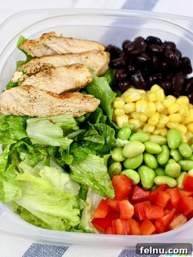 Creamy Southwest Dairy Free Ranch Chicken Salad 7 Southwest BBQ Chicken Salad