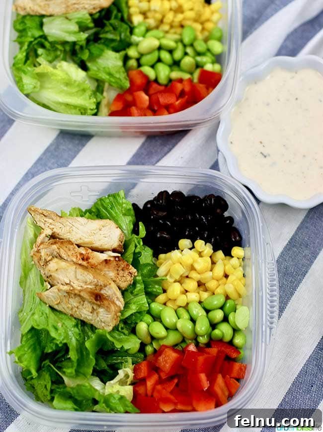 Creamy Southwest Dairy Free Ranch Chicken Salad 10 Southwest BBQ Chicken Salad