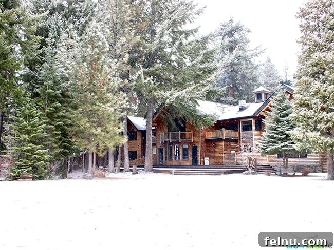 The Suttle Lodge: A Tranquil Escape in the Heart of Oregon
Tranquil Hideaway: The Suttle Lodge Experience 2 Suttle Lodge in Sisters, Oregon