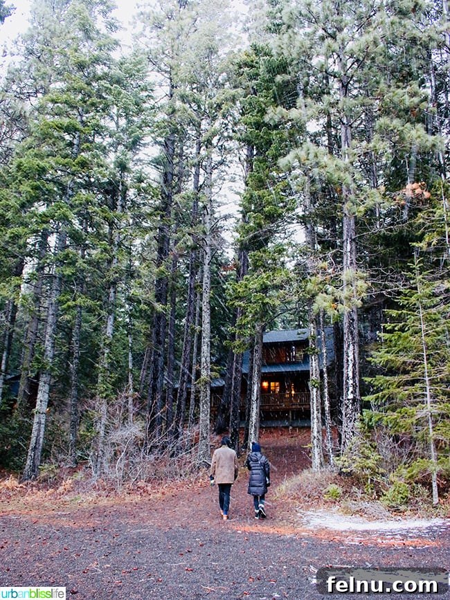 The Suttle Lodge: A Tranquil Escape in the Heart of Oregon
Tranquil Hideaway: The Suttle Lodge Experience 14 Suttle Lodge in Sisters, Oregon