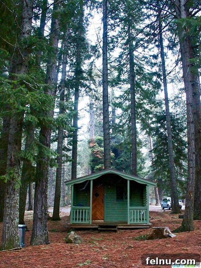 The Suttle Lodge: A Tranquil Escape in the Heart of Oregon
Tranquil Hideaway: The Suttle Lodge Experience 16 Green cabins at Suttle Lodge in Sisters, Oregon