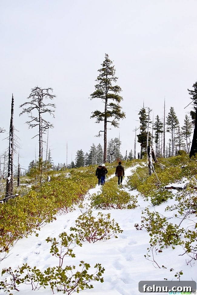 The Suttle Lodge: A Tranquil Escape in the Heart of Oregon
Tranquil Hideaway: The Suttle Lodge Experience 18 Hiking above Suttle Lodge in Sisters, Oregon