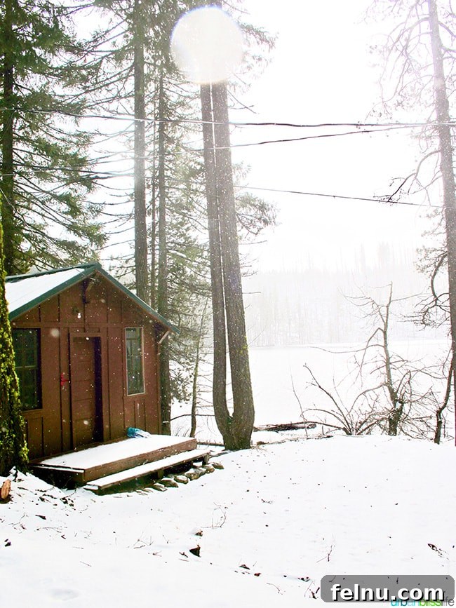 The Suttle Lodge: A Tranquil Escape in the Heart of Oregon
Tranquil Hideaway: The Suttle Lodge Experience 20 Cabin at Dark Lake near Suttle Lodge in Sisters, Oregon
