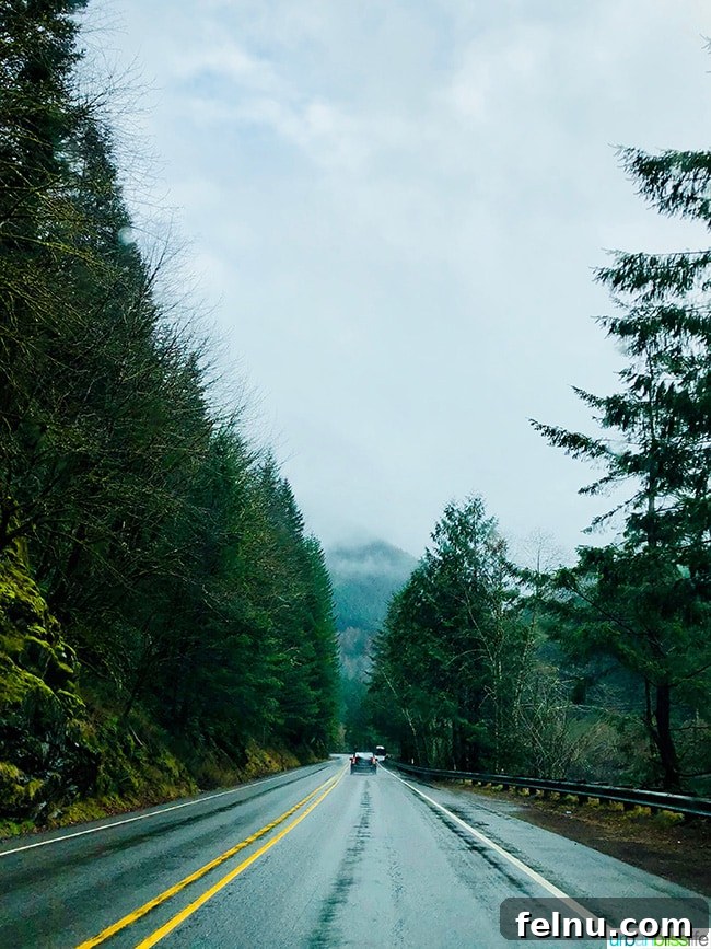 The Suttle Lodge: A Tranquil Escape in the Heart of Oregon
Tranquil Hideaway: The Suttle Lodge Experience 3 Oregon highway