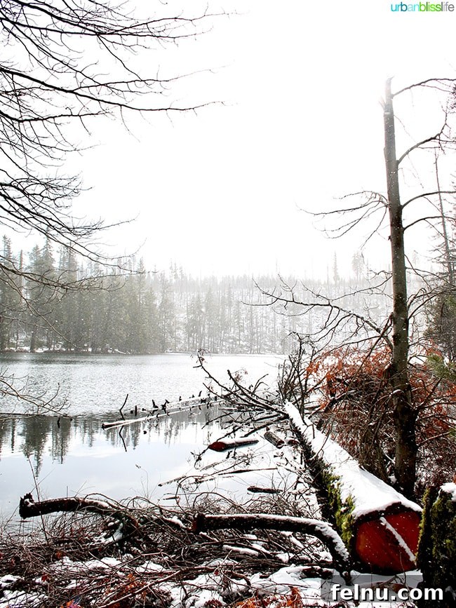 Dark Lake near Suttle Lodge in Sisters, Oregon