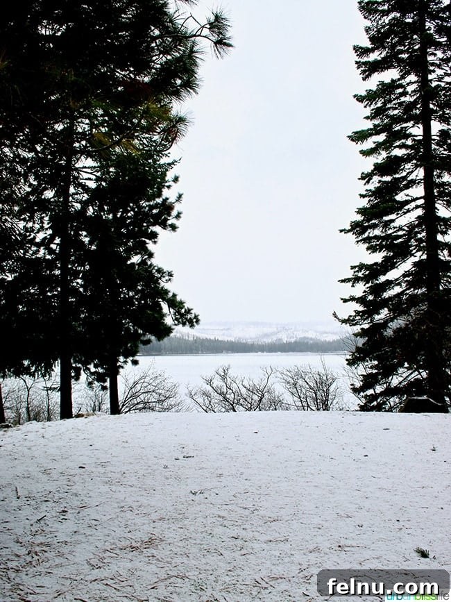 The Suttle Lodge: A Tranquil Escape in the Heart of Oregon
Tranquil Hideaway: The Suttle Lodge Experience 4 Oregon wilderness
