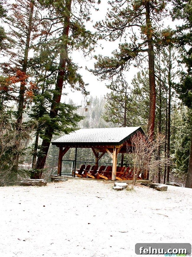 The Suttle Lodge: A Tranquil Escape in the Heart of Oregon
Tranquil Hideaway: The Suttle Lodge Experience 9 Shed in forest