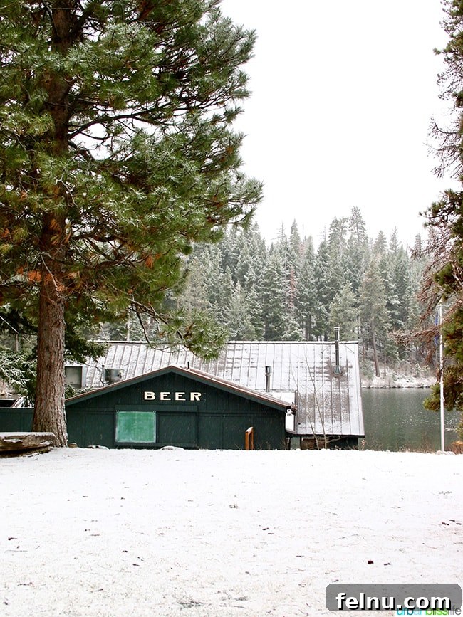 The Suttle Lodge: A Tranquil Escape in the Heart of Oregon
Tranquil Hideaway: The Suttle Lodge Experience 10 Beer sign on shed