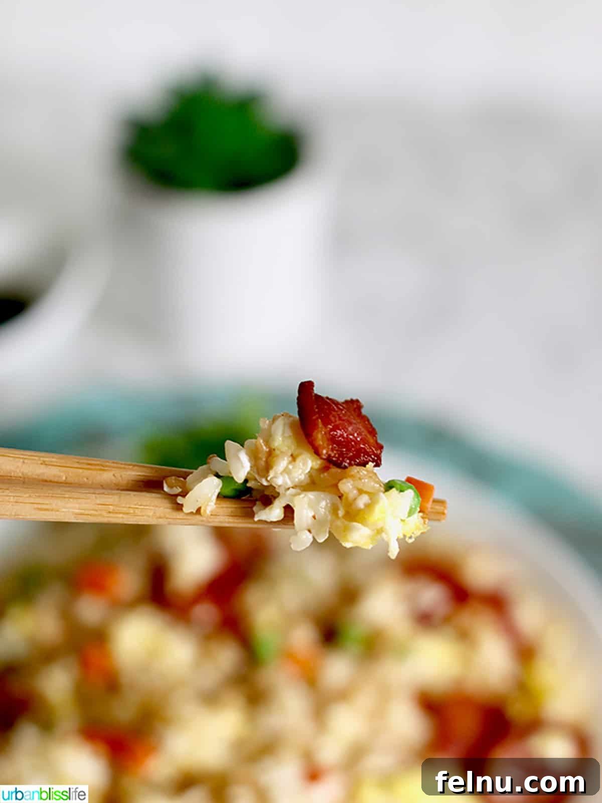 Filipino Fried Rice Your Choice of Bacon or Sausage 4 Close-up of Filipino Fried Rice with bacon bits, held by chopsticks.