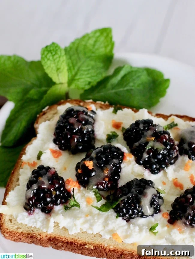 Ricotta Toast with Blackberry Citrus Zest 5 Close-up of Blackberry Ricotta Toast with Honey and Mint