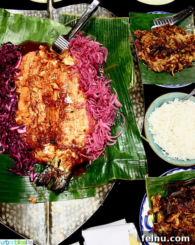 Chehalem Winery and Hi-Lo Hotel Present Hi-Lo Cuvée Wines 17 A close-up of a plate with Cochinita Pibil, showcasing its vibrant ingredients from Alto Bajo
