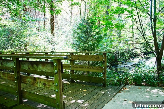 Things to Do and See in Ashland: A Local's Guide 18 Scenic landscape of Lithia Park in Ashland, Oregon