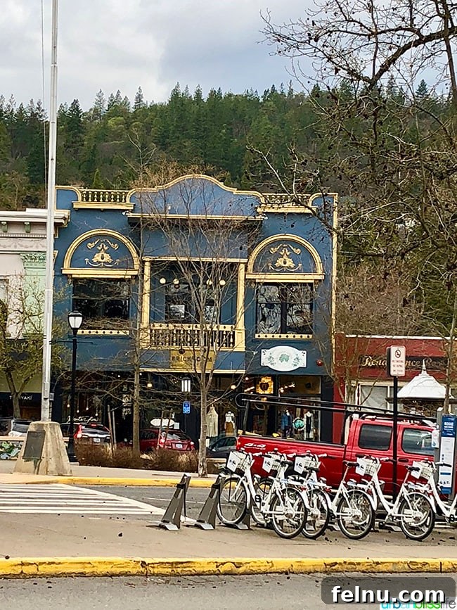 Things to Do and See in Ashland: A Local's Guide 4 Downtown Ashland, Oregon showcasing its vibrant culinary scene