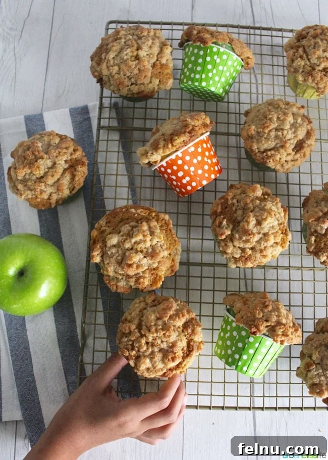 Berry Bliss Chocolate Chunk Muffins 4 Healthy Apple Cinnamon Muffins with Vegetables