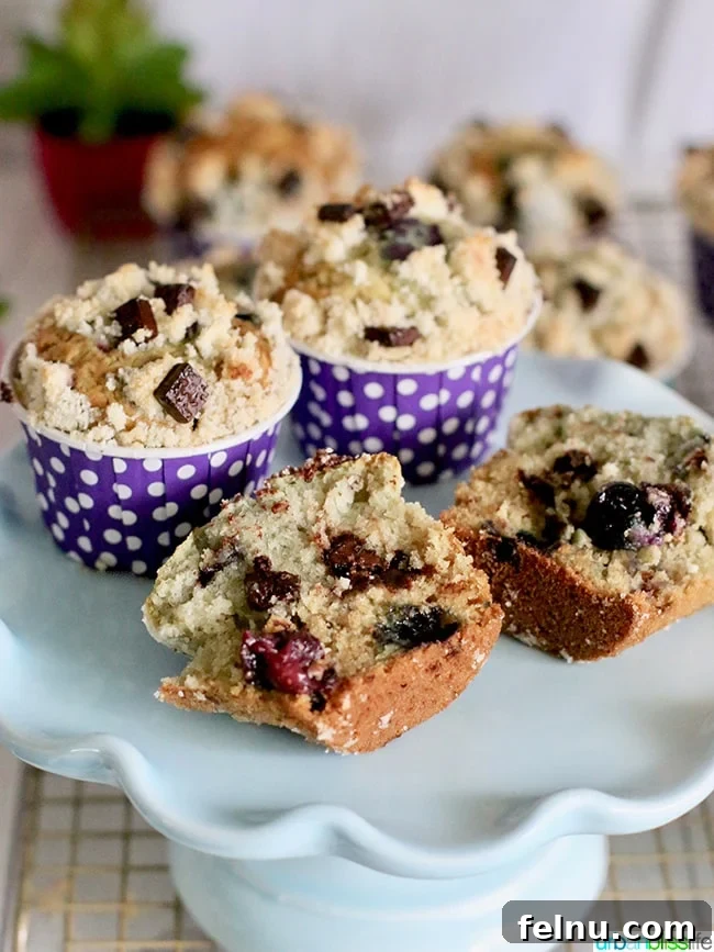 Berry Bliss Chocolate Chunk Muffins 5 Inside Double Berry Chocolate Chip Muffin