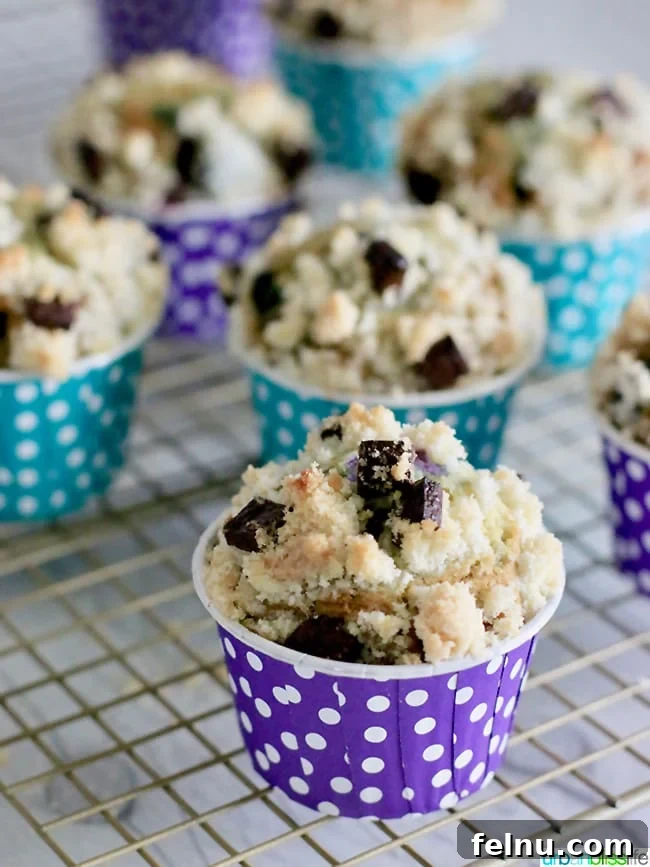 Berry Bliss Chocolate Chunk Muffins 8 Double Berry Chocolate Chip Muffins
