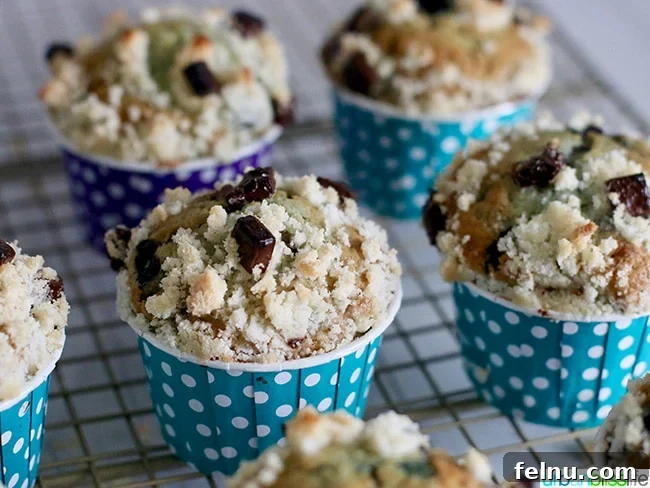 Berry Bliss Chocolate Chunk Muffins 10 Double Berry Chocolate Chip Muffins Landscape