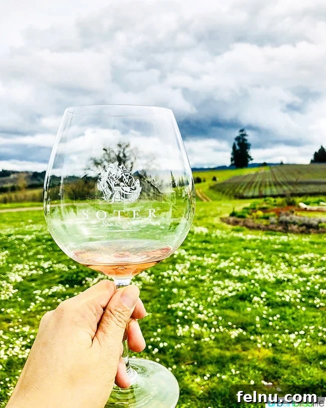Rose Renaissance: Must-Try Wines for Every Palate 3 Soter North Valley Rosé wine in a vineyard, highlighting its origin and quality.