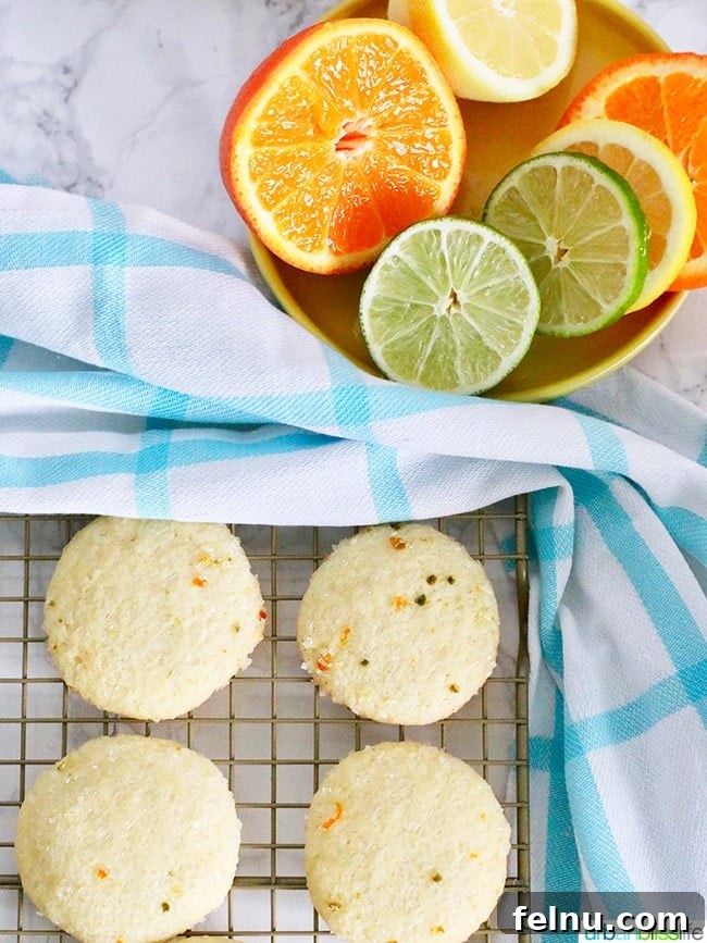 Triple Citrus Sugar Cookies 7 Arrangement of citrus fruits and freshly baked lemon sugar cookies.
