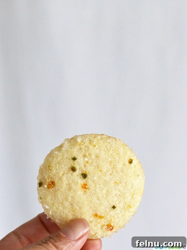 Triple Citrus Sugar Cookies 9 A single lemon sugar cookie, showcasing its soft texture and perfect round shape.