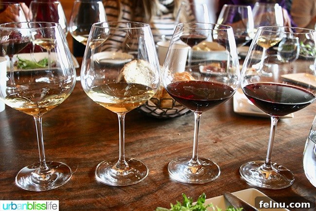 Open Claim Vineyards Unveils Inaugural Vintage and Tasting Room Vision 4 A flight of Open Claim Vineyards wines, each glass showcasing the unique color and clarity of the different varietals and vintages.