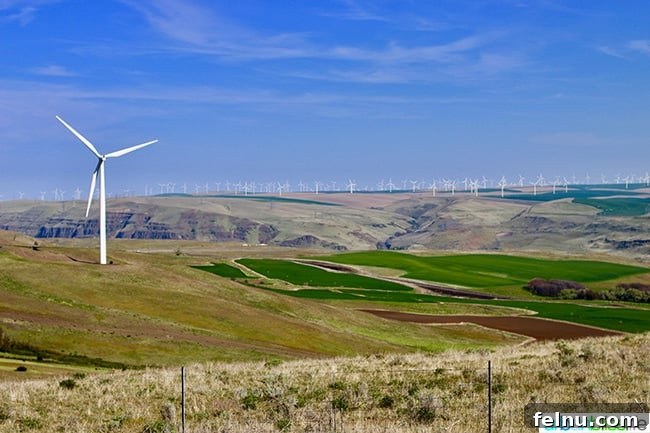 From Rose City to Wine Country: A PNW Road Trip 11 Goldendale, Washington wind farm