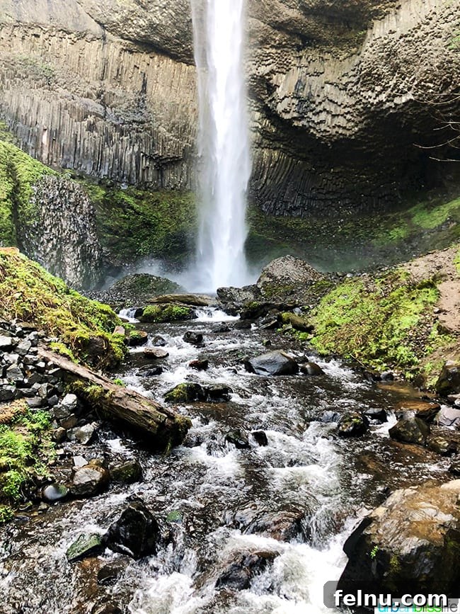 From Rose City to Wine Country: A PNW Road Trip 5 Latourell Falls 2018