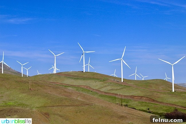 From Rose City to Wine Country: A PNW Road Trip 9 Pacific Northwest Road Trip - Goldendale, Washington wind farm