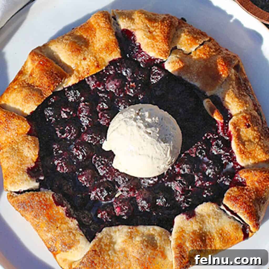 blueberry galette with a scoop of vanilla ice cream on top.