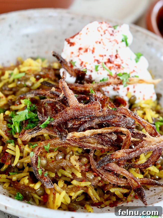 Portland's Middle Eastern Gem: Tusk 10 Mujadara: A Flavorful and Shareable Dish at Tusk