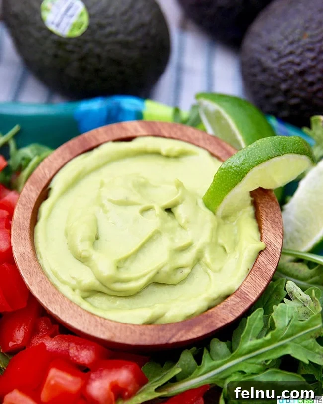 Avocado Lime Dream: The Creamiest Dressing & Dip 10 Creamy Avocado Lime Dressing & Dip