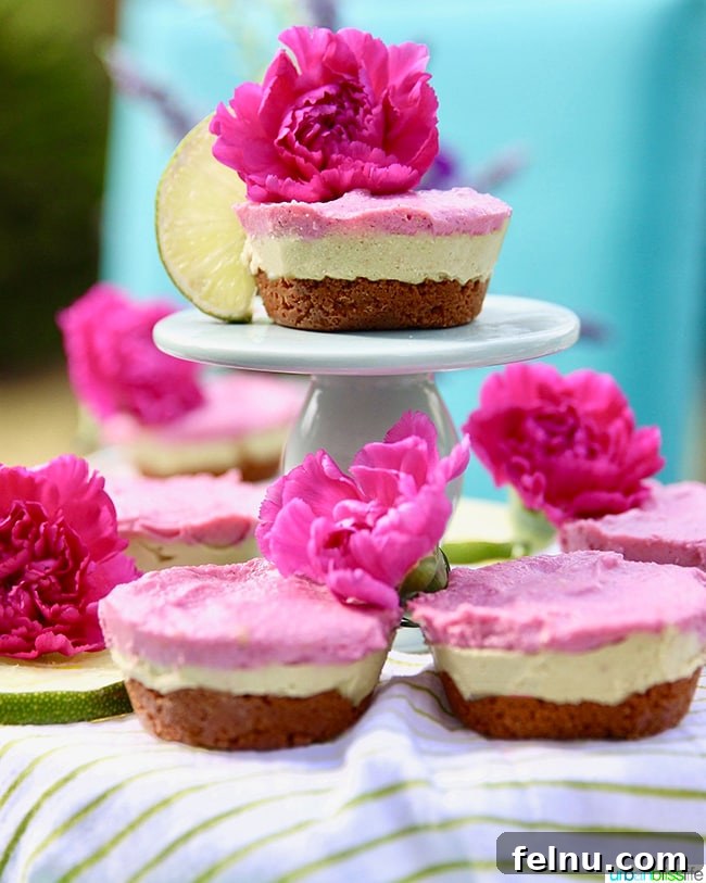 A set of avocado, lime, and pink pitaya mini vegan cheesecakes
